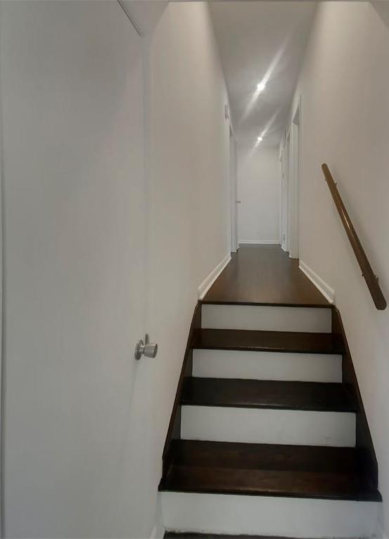 Photo #11