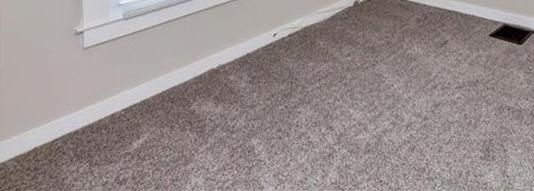 Photo #16