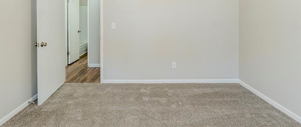 Photo #17