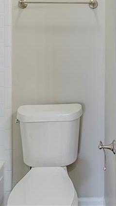 Photo #15