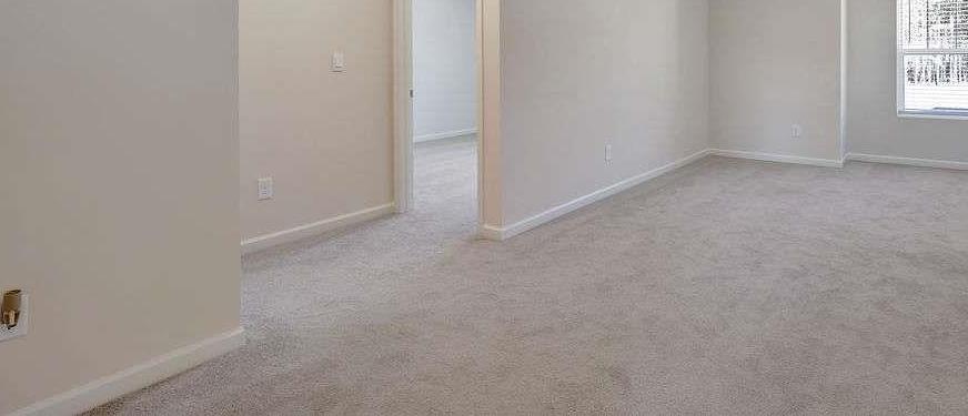 Photo #23