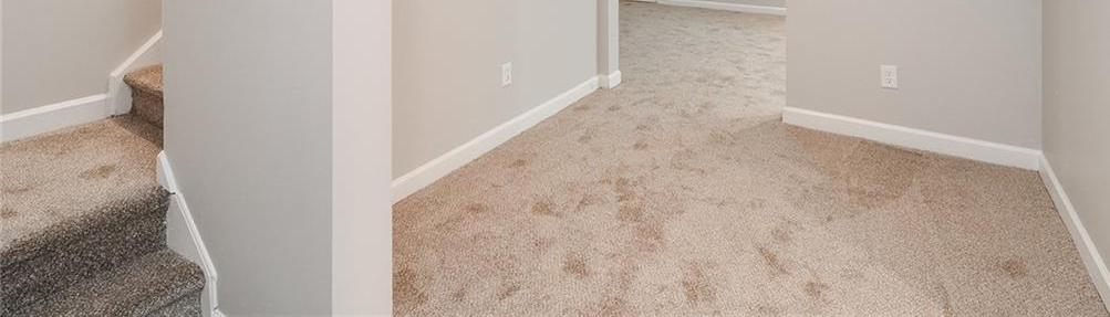 Photo #50