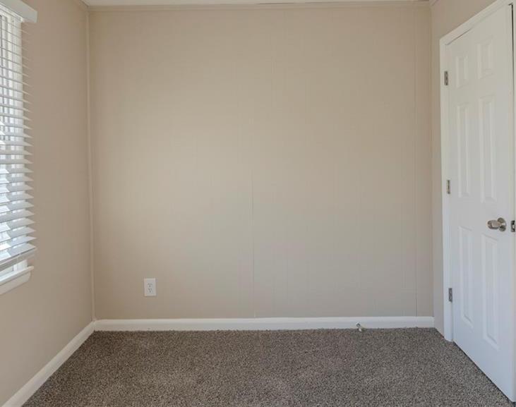 Photo #14