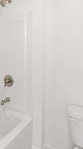 Photo #62