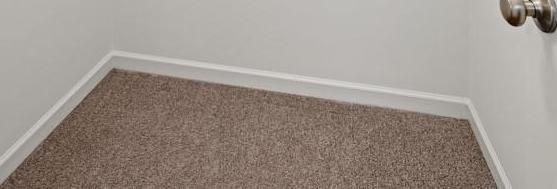 Photo #38