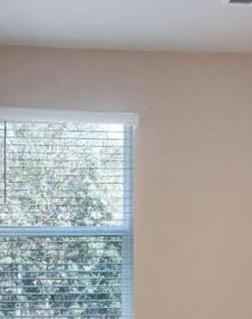 Photo #10