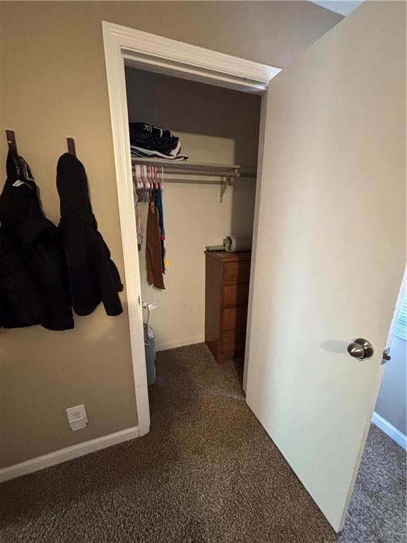 Photo #43