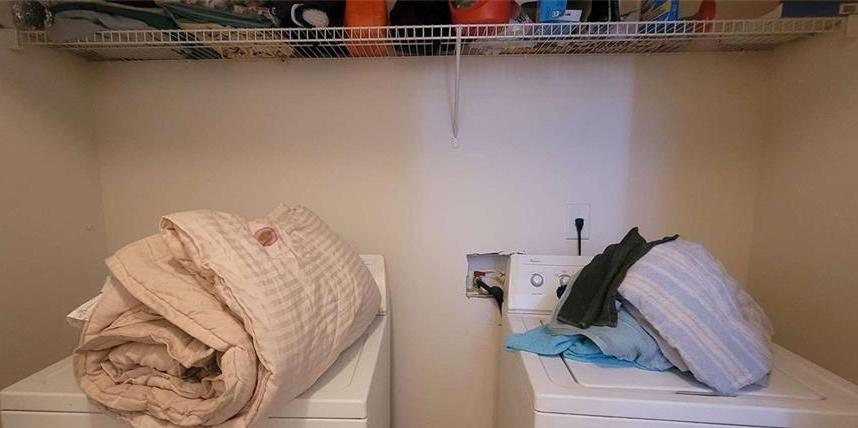 Photo #16