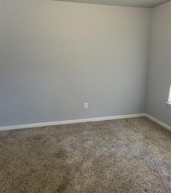 Photo #21