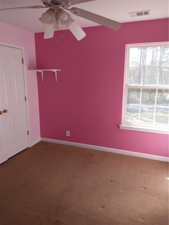 Photo #11