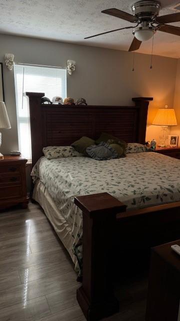Photo #16