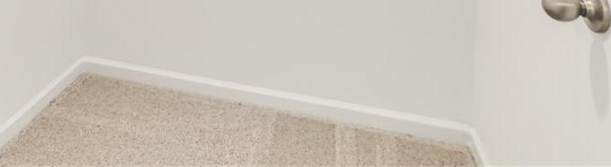 Photo #14