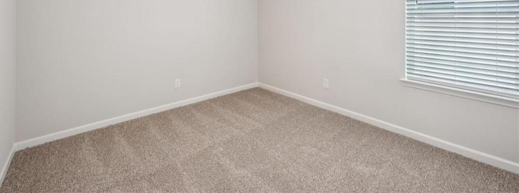 Photo #14