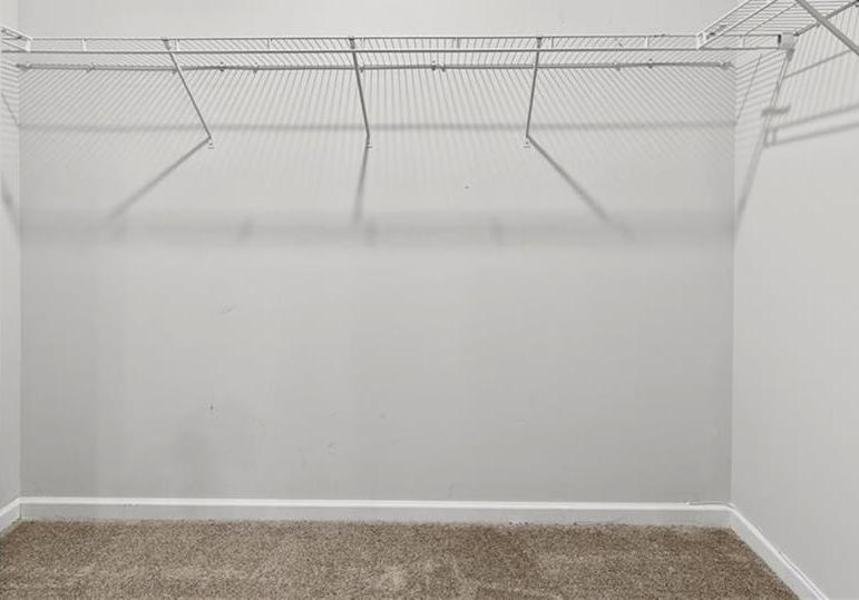 Photo #37