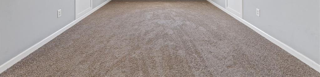 Photo #13