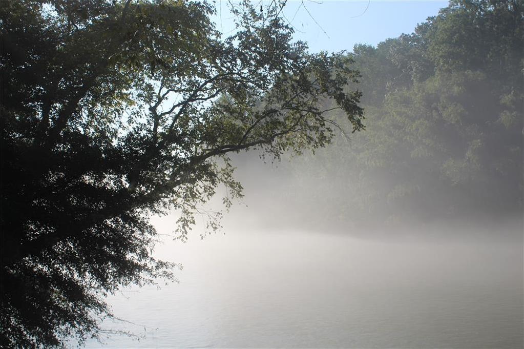 Photo #37