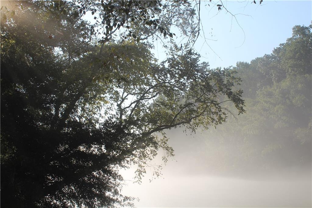 Photo #38