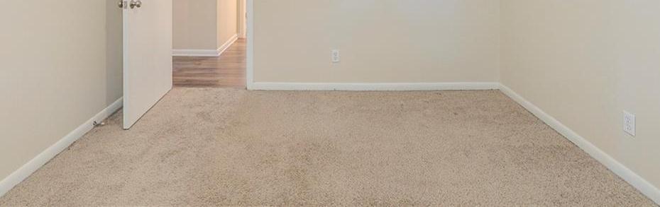 Photo #13