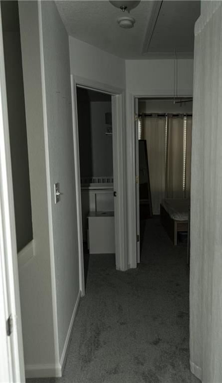 Photo #46