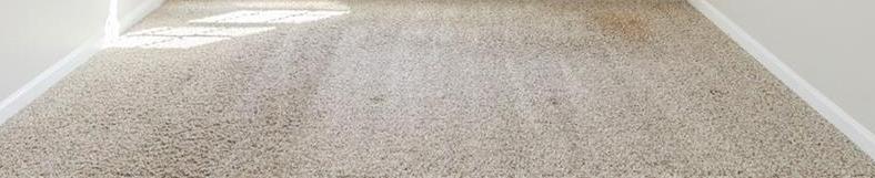 Photo #11