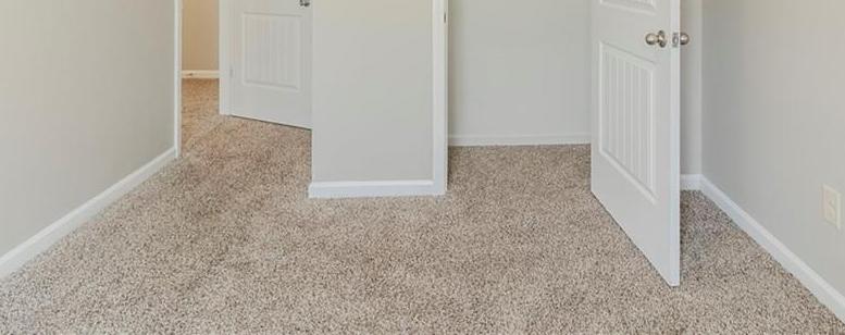 Photo #10