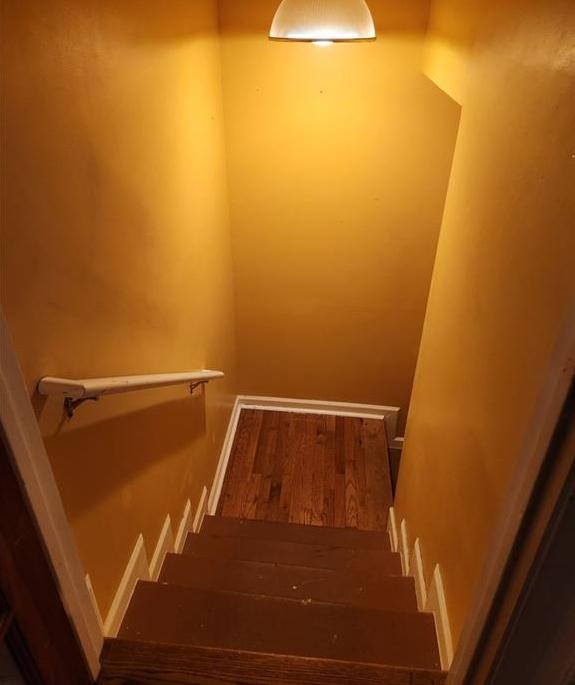 Photo #25