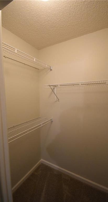 Photo #28