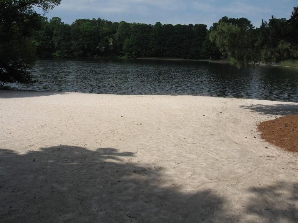 Photo #41