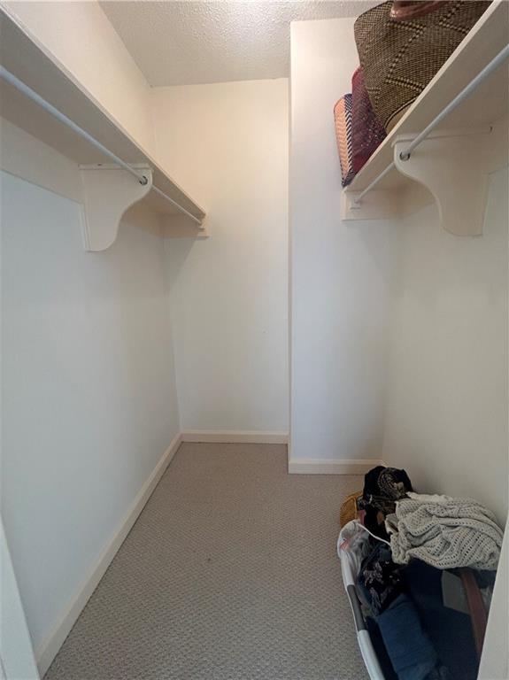 Photo #23