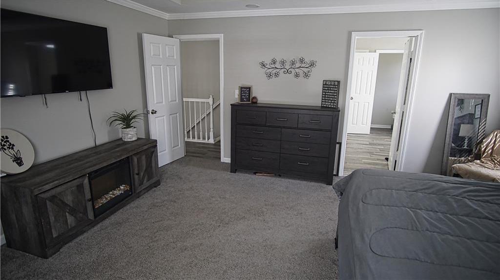 Photo #42