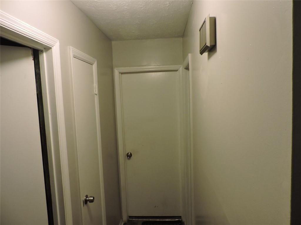 Photo #3