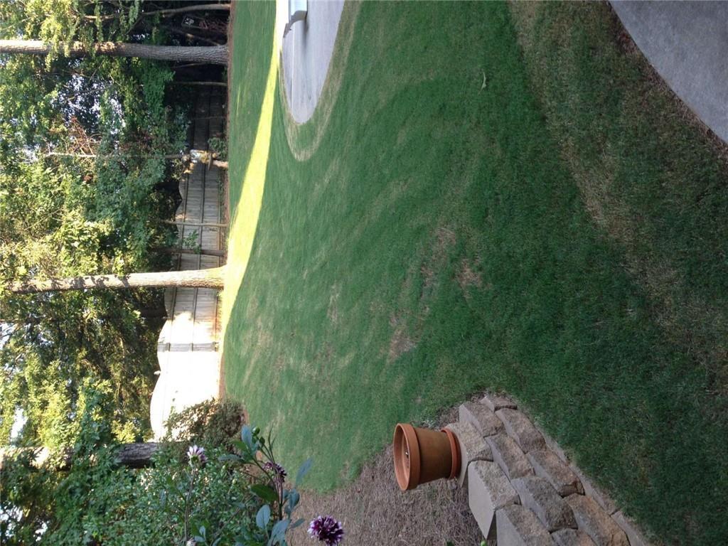 Photo #3