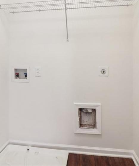 Photo #41