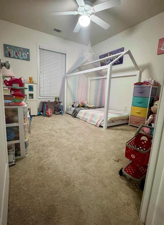 Photo #14