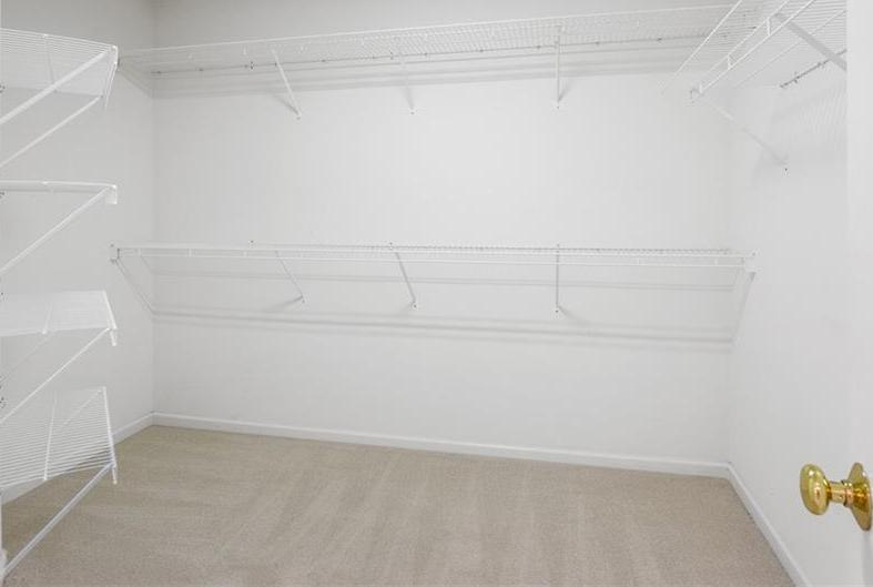 Photo #23