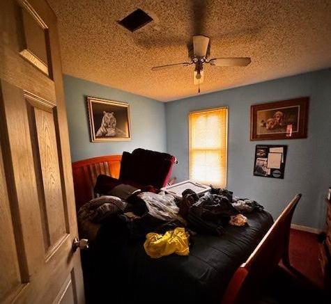 Photo #16