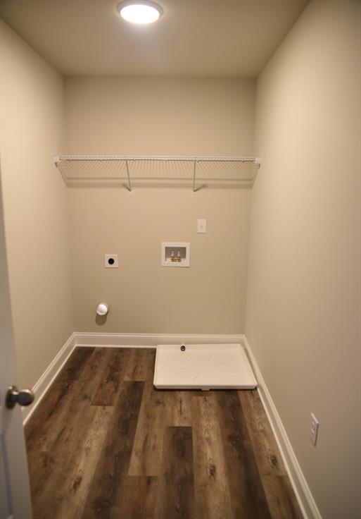 Photo #14