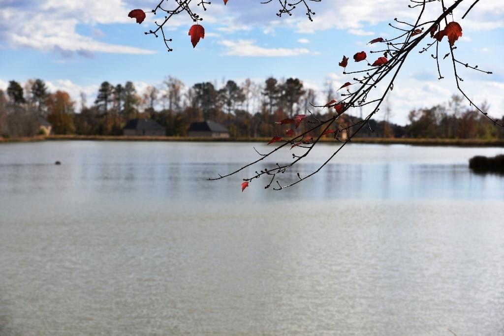 Photo #17