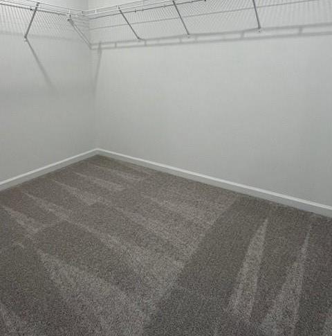 Photo #7