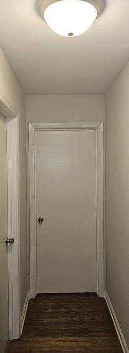 Photo #15