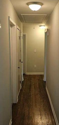 Photo #11
