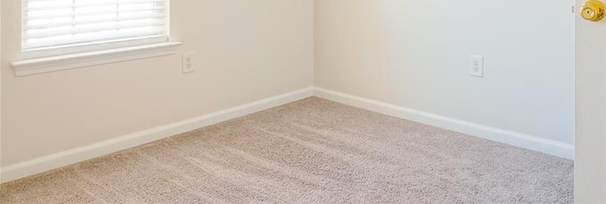 Photo #13