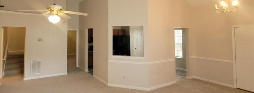 Photo #7