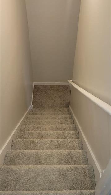 Photo #14