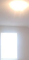 Photo #15