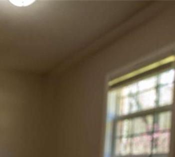 Photo #13