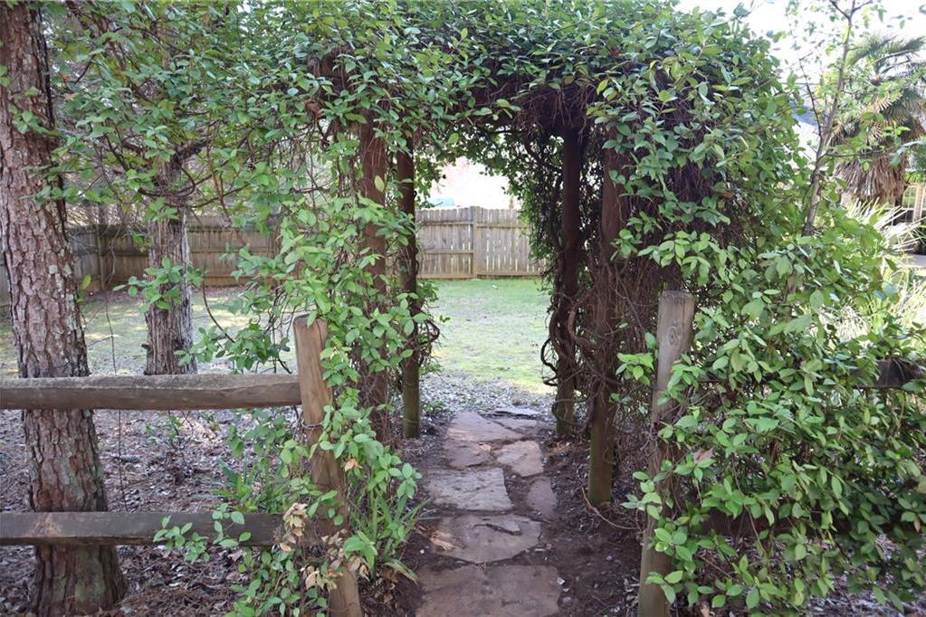 Photo #16