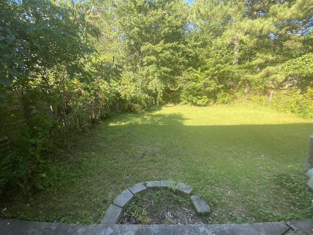 Photo #13