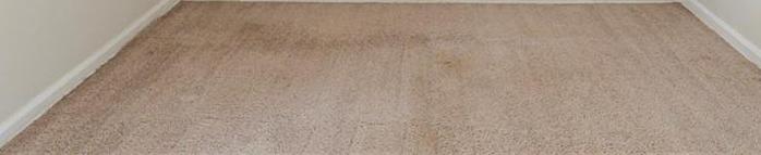 Photo #14