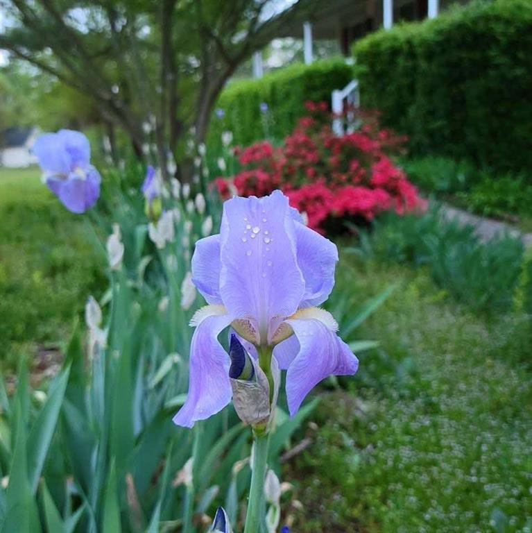 Photo #32